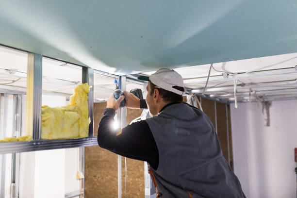 Best Commercial Insulation in Limestone, IL